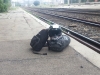En rade à la gare de l'Estaque